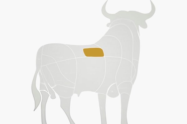 Corte de carne para preparar Chuleton