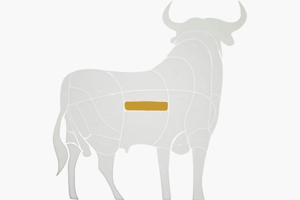 Corte de carne para preparar Tira de Asado