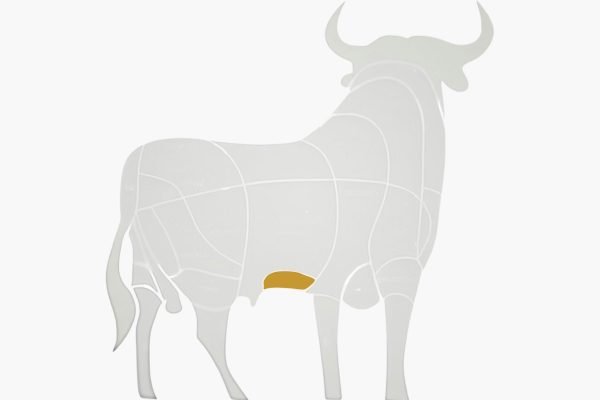 Corte de carne para preparar Vacío